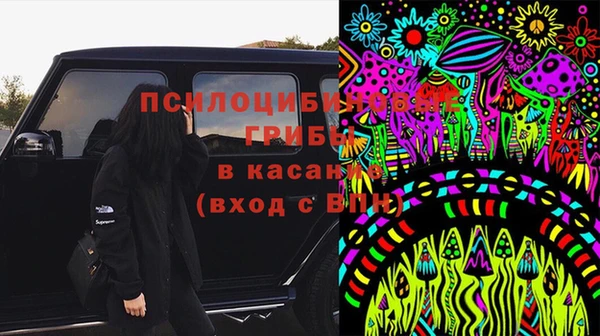 apvp Покровск