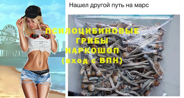 первитин Балахна