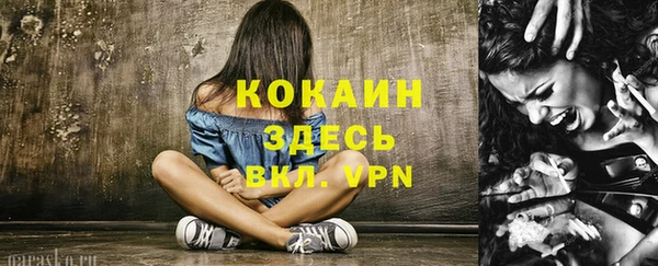 сатива Баксан