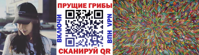 Псилоцибиновые грибы мицелий  закладки  Среднеколымск 